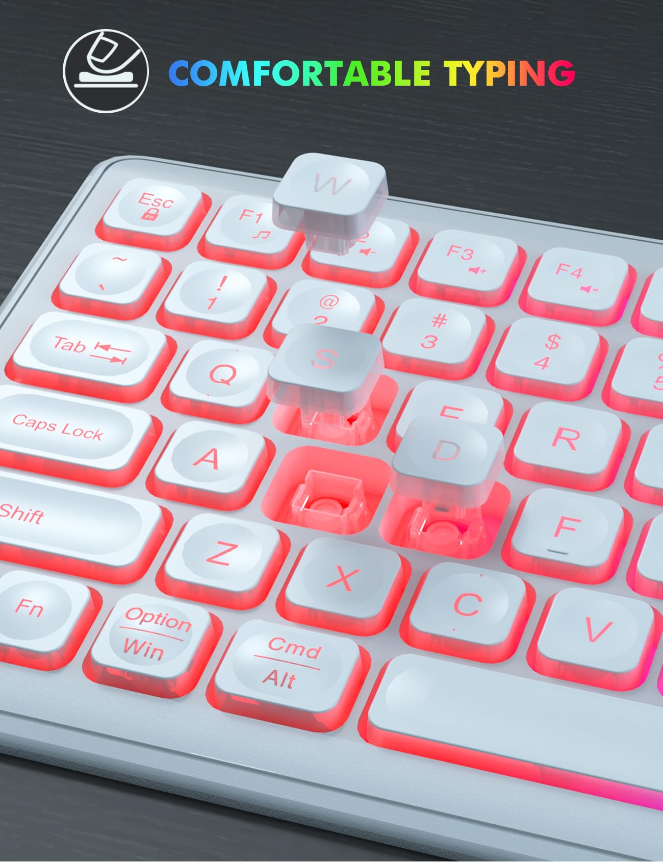 Wireless Keyboard and Mouse Combo, RGB Backlit, Rechargeable & Light Up Letters, Full-Size, Soft Typing, Sleep Mode, 2.4GHz Quiet Keyboard Set for Mac, Windows, Laptop, PC, Trueque KM42Pro (Black) - Flex Gamingproduct_type